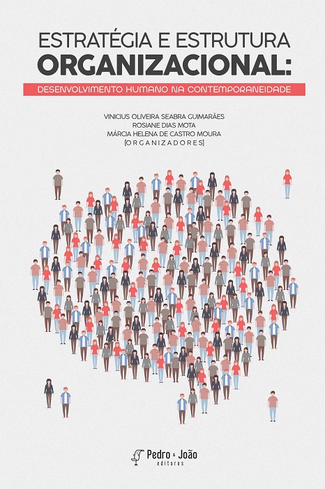 Capa_ViniciusSeabra_Pagina_1 Estratégia e estrutura organizacional: desenvolvimento humano na contemporaneidade