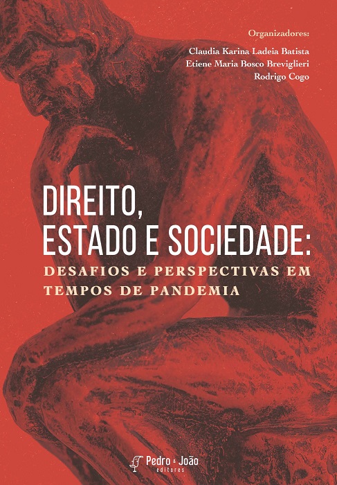 Capa_ClaudiaKarina Direito, estado e sociedade: desafios e perspectivas em tempos de pandemia