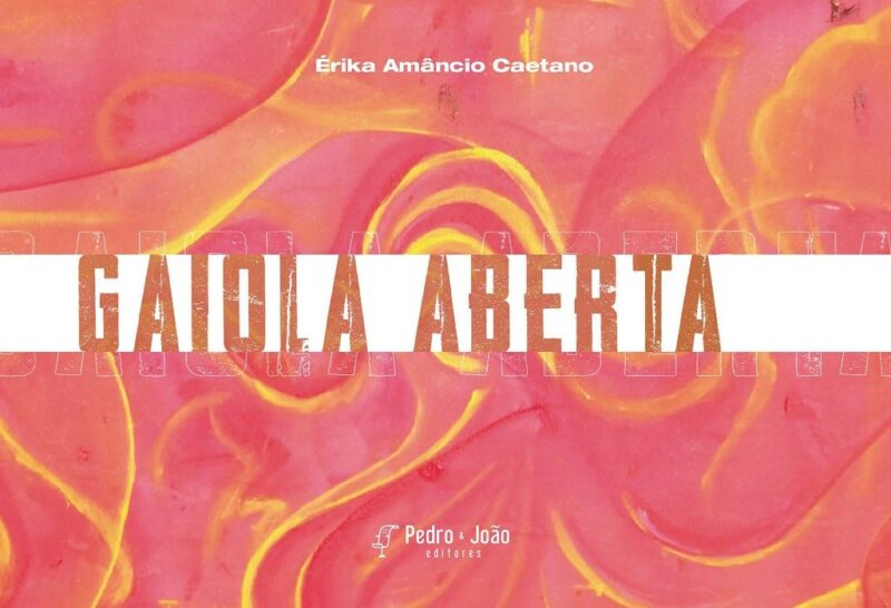 Capa_Erika Gaiola aberta