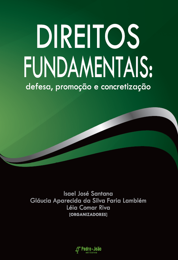 Direitos fundamentais: defesa, promoção e concretização