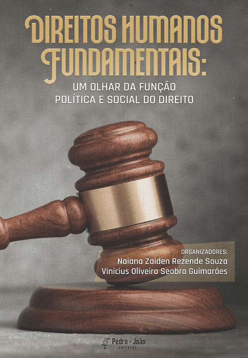 Capa_ViniciusS Direitos Humanos Fundamentais: um olhar da função política e social do Direito