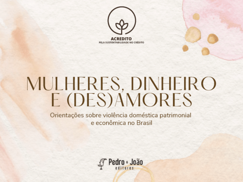 Mulheres, dinheiro e (des)amores: orientações sobre violência doméstica patrimonial e econômica no Brasil